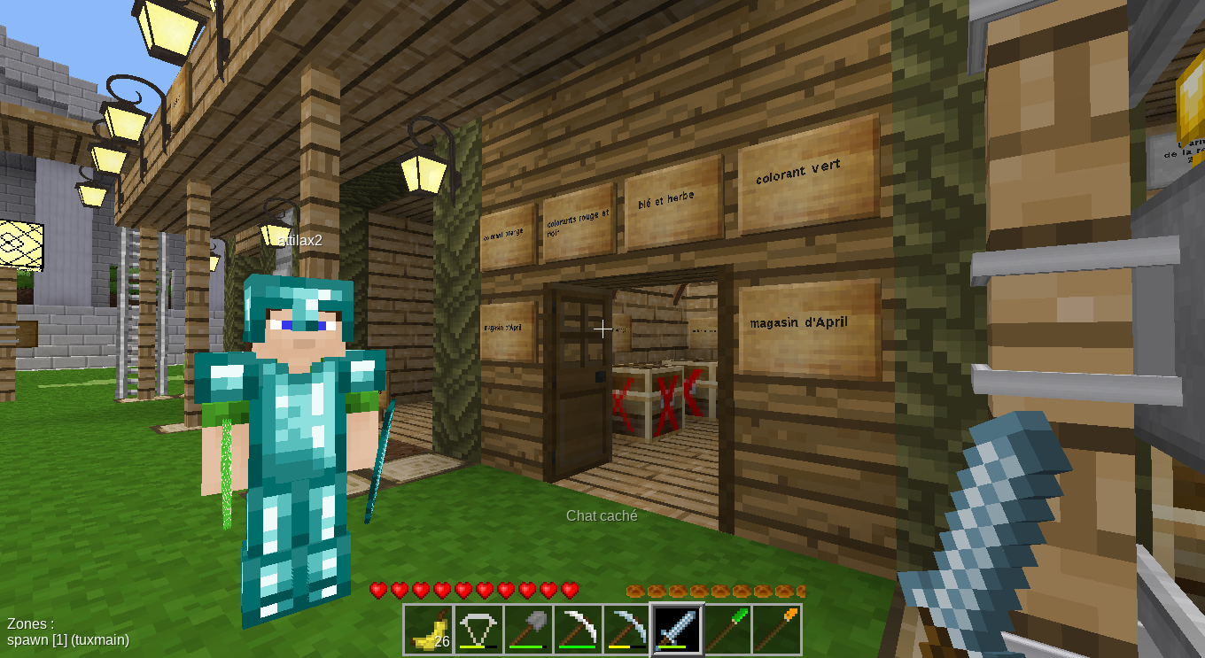 Faire des rencontres sur Minetest / Minecraft